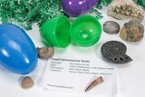 Fossil Filled Easter Eggs! - 12 Pack - Photo 2